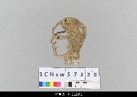 藏品(中國湖北皮影戲偶頭-生)的圖片